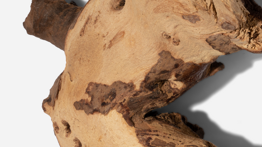 Alates sandlipuust kuni Bergamot: Lõhnatoonid: Populaarsete lõhnanootide mõistmine